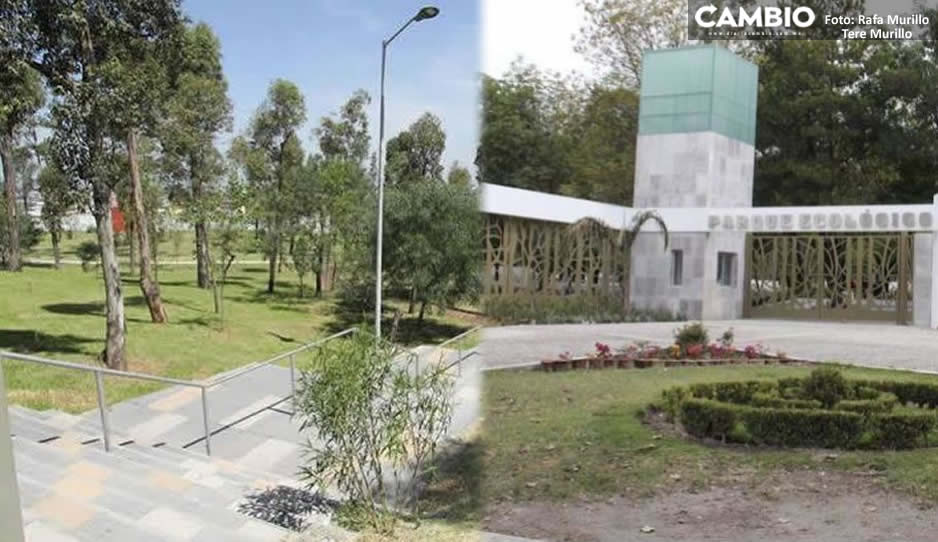Ayuntamiento de Puebla recortará programas para el mejoramiento de parques