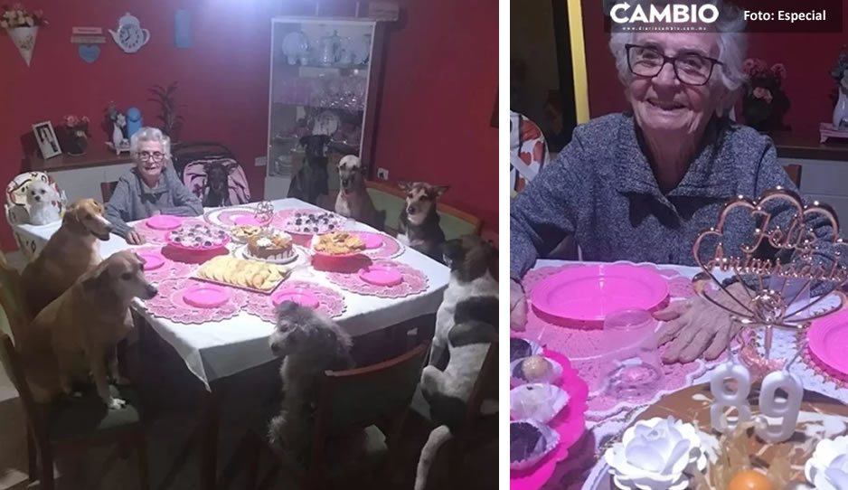 ¡Qué adorable! Abuelita festeja su cumpleaños junto a sus 10 perritos (VIDEO)