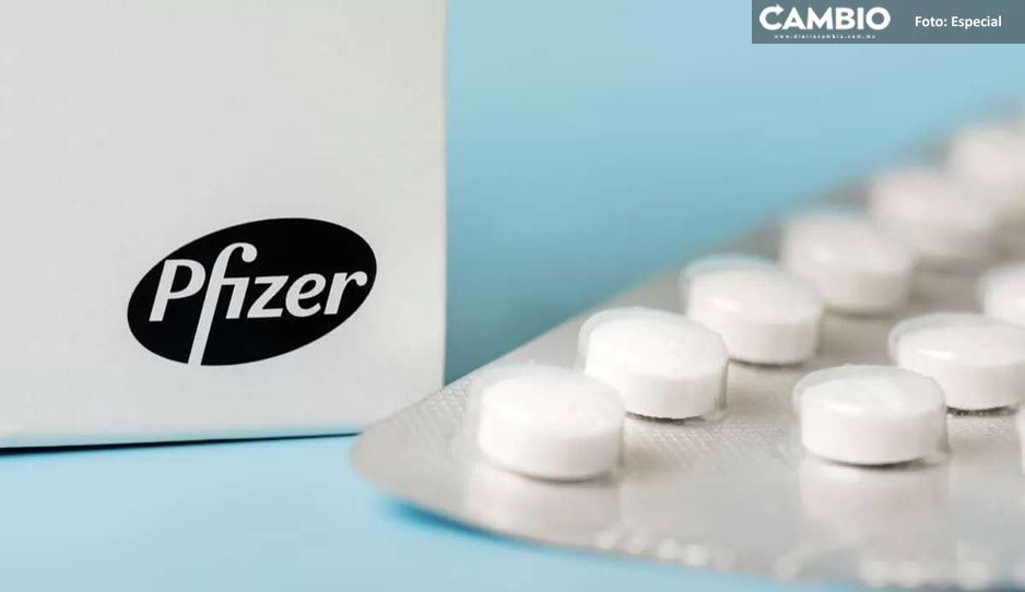 Pfizer trabaja en pastilla contra Covid ¡estará lista para fin de año!
