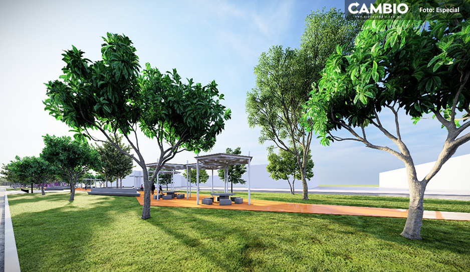 FOTOS: Así será el primer parque de Lalo Rivera tendrá hasta palapas en la Central de Abasto