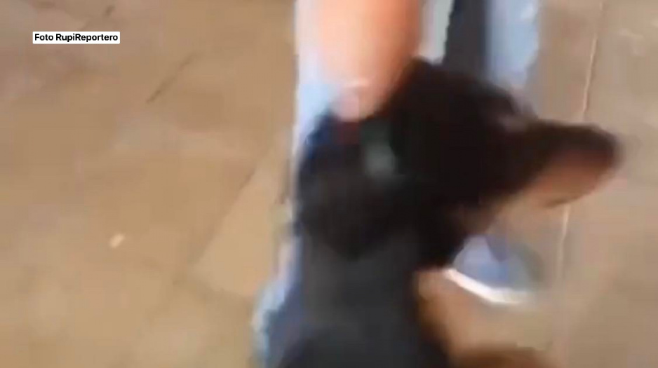 Brujos del mal: ahorcan a perrito para hacer ritual en La Margarita (FUERTE VIDEO)