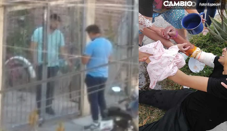 Dueños esconden a pitbulls mordelones ante ataques a vecinos de Las Hadas