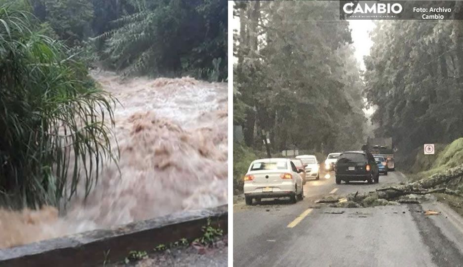 Puebla reportó más municipios afectados por “Grace”; mil 356 comunidades sufrieron daños