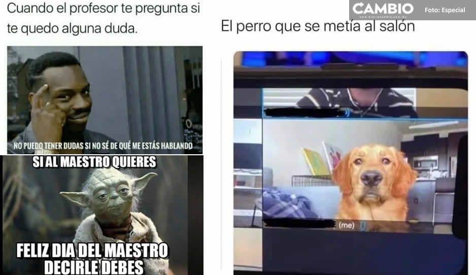 Los mejores MEMES del Día del Maestro para compartir o dedicar