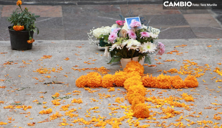 Colocan ofrenda al pequeño Santy, niño aplastado por un árbol en el Centro Histórico (VIDEO)