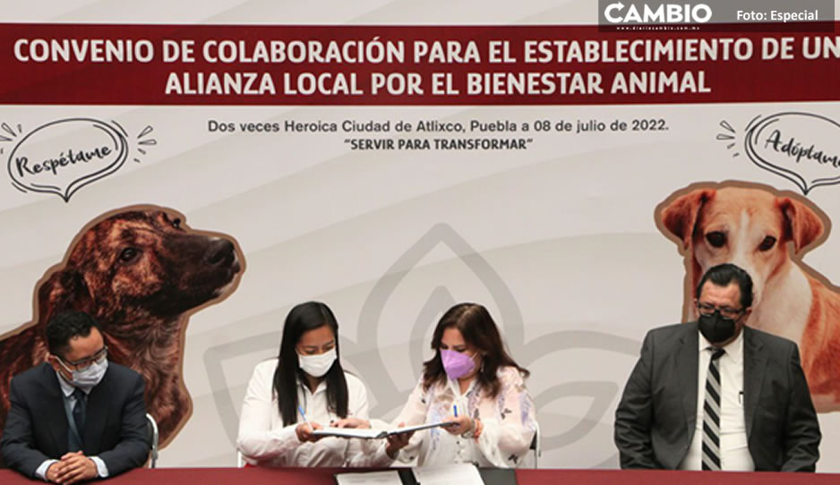 Gobierno de Atlixco firma convenio con Bienestar Animal de Puebla