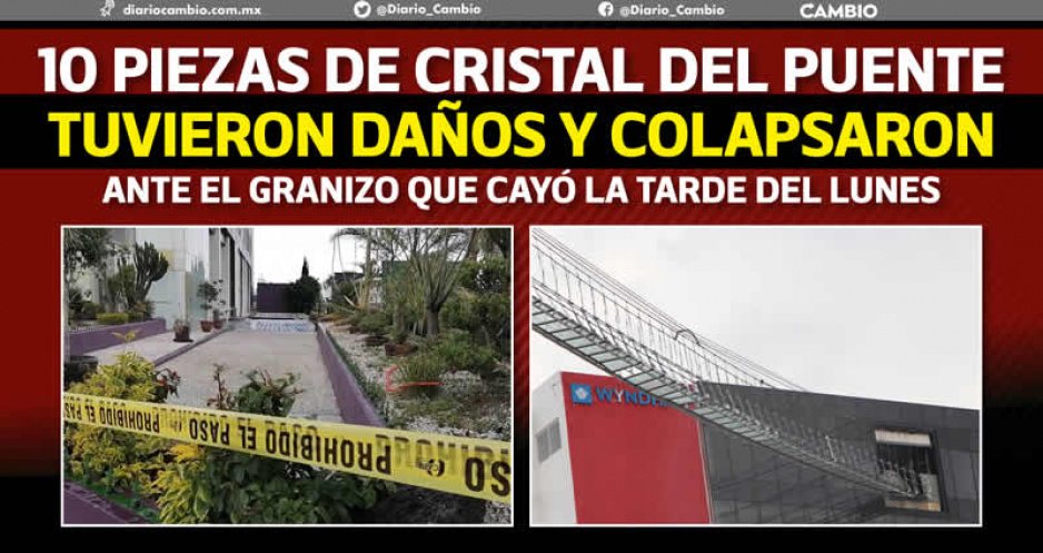 Segob clausuró el puente de cristal Sky Bridge tras caerse parte de su estructura (FOTOS Y VIDEO)