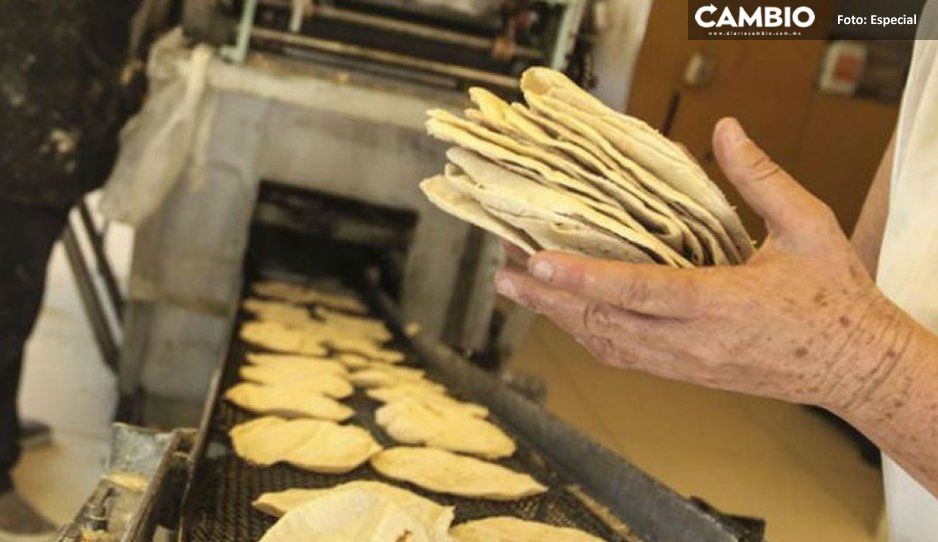 Primero el Gas L.P. y ahora sube la tortilla a 15 pesos ¿Qué más Dios?
