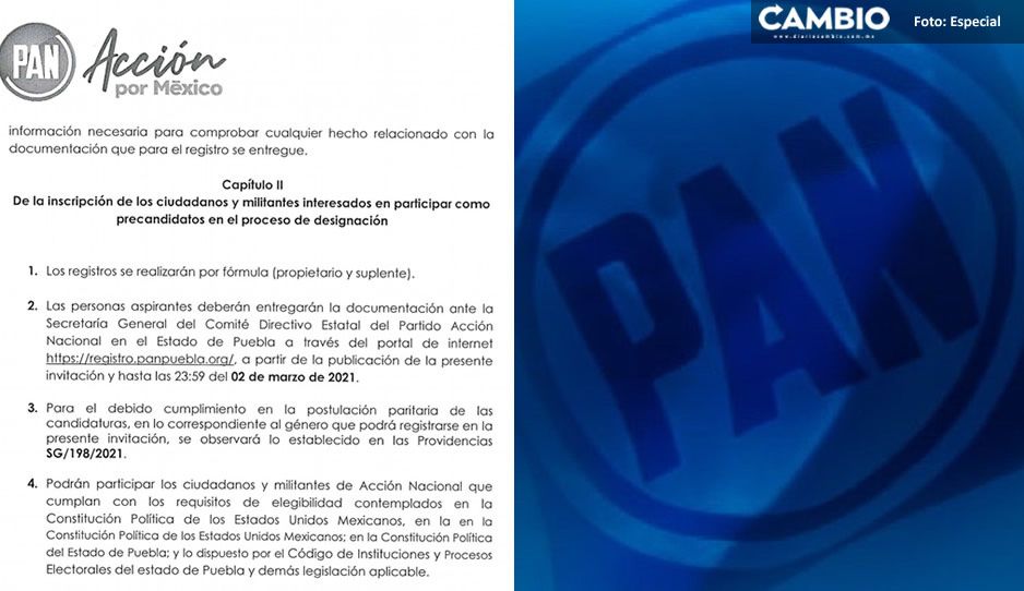 PAN publica convocatoria para candidatos a diputaciones locales