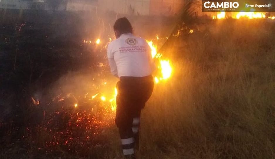 Suman esfuerzos Protección Civil de Tecamachalco y vecinos para sofocar incendio