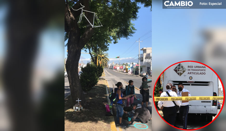 Ciclistas colocan en un árbol bicicleta blanca en memoria de abuelito atropellado por RUTA