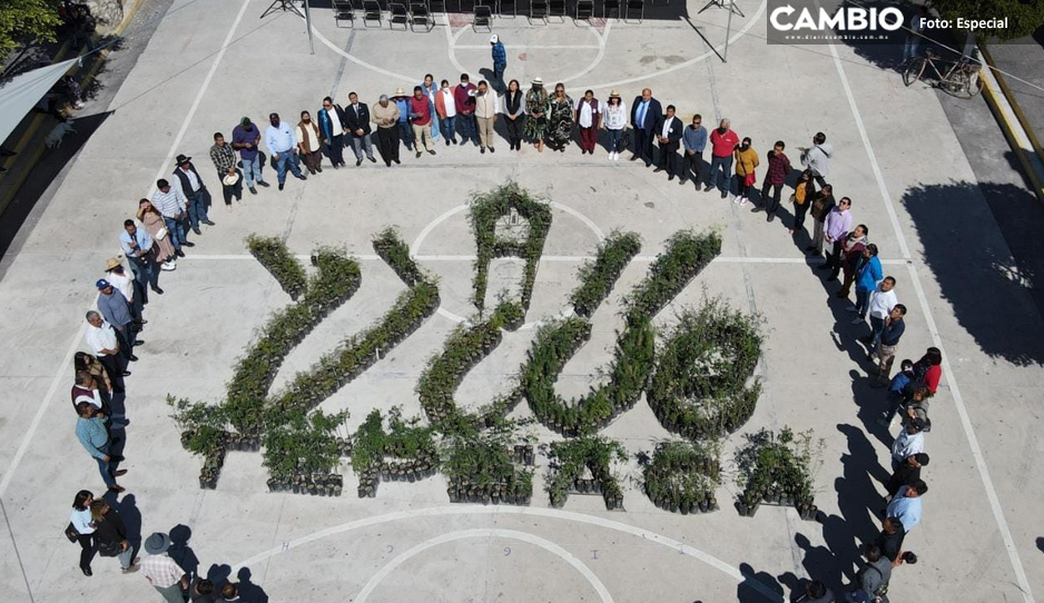 Realizan entrega de 5 mil árboles para programa de reforestación municipal en Tepeaca