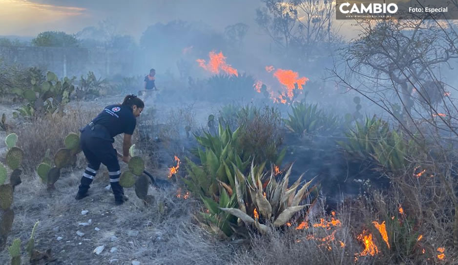 Sofocan incendio forestal en el Cerro del Monumento en Tecamachalco