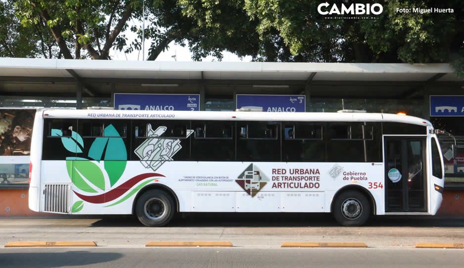 RUTA se volvió el transporte del escándalo en Puebla: robos, cucarachas y sin Sana Distancia (VIDEO)