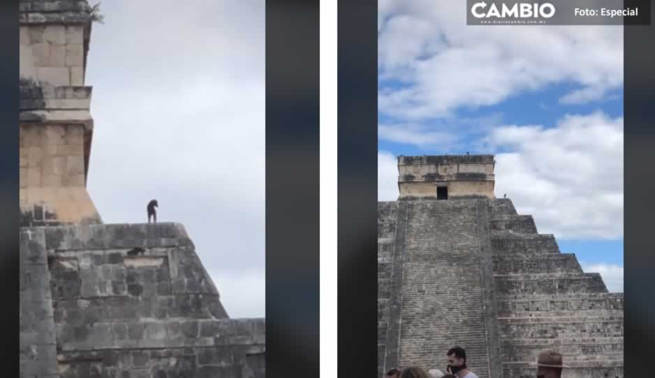 VIDEO: Perrito disfruta la vista desde lo alto de Chichen Itzá