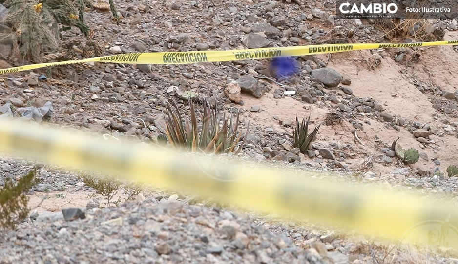 Hallan cadáver de una mujer reportada como desaparecida en campo de cultivo de Amozc