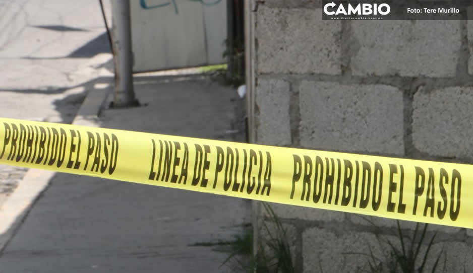 Encuentran cadáver desmembrado en terrenos de cultivo de San Pedro Cholula