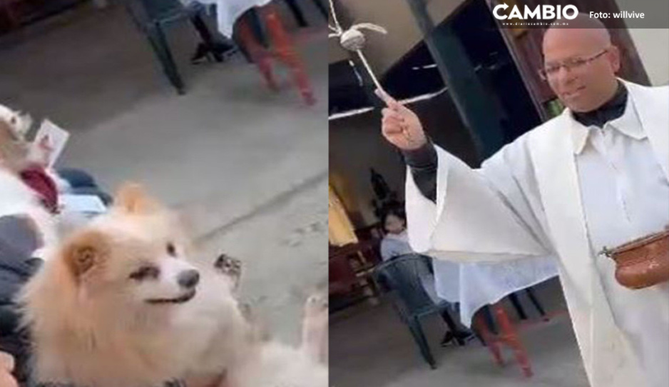 Sacerdote le avienta agua bendita a perrito y le saca el “demonio” (VIDEO)