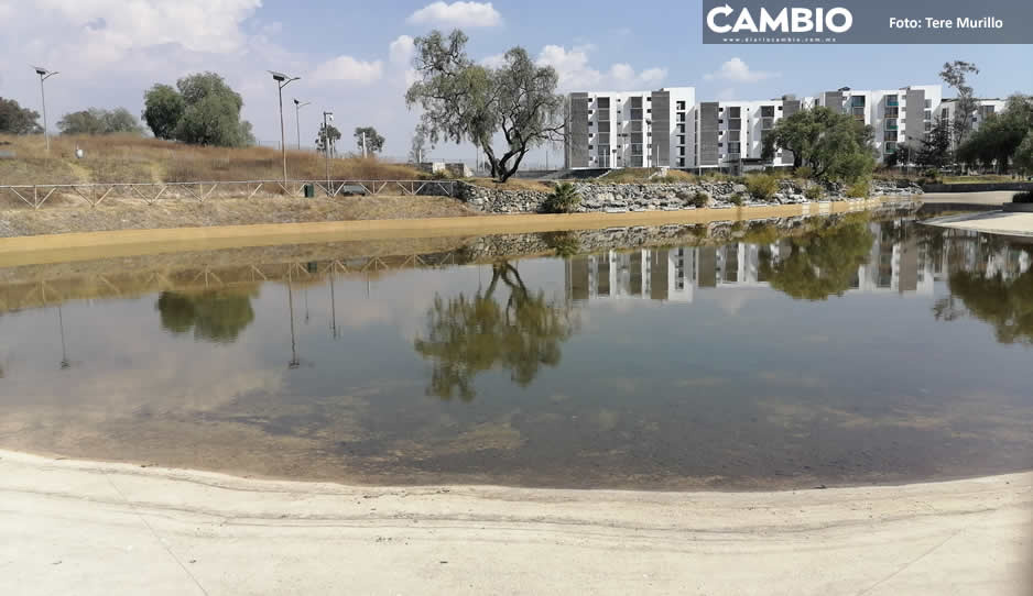 Parque de Amalucan sigue en el olvido; Lalo Rivera prometió darle mantenimiento