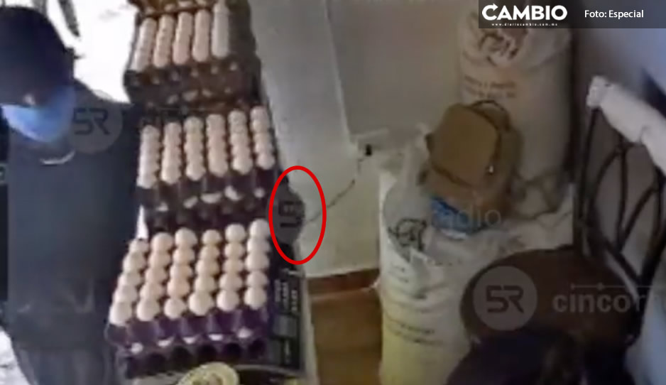Compra conos de huevo para distraer a joven empleada; le roba el celular y efectivo (VIDEO)