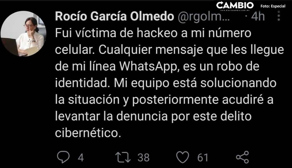 Hackean el WhatsApp de la diputada Rocío García; delincuentes piden dinero a sus contactos