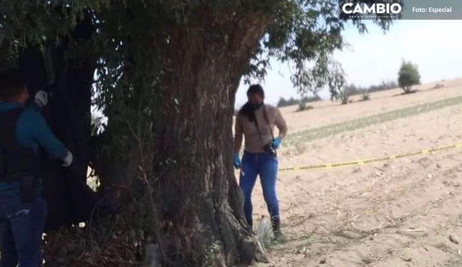 Rosendo se colgó de un árbol en Tlachichuca; era el principal sospechoso de la muerte de su esposa