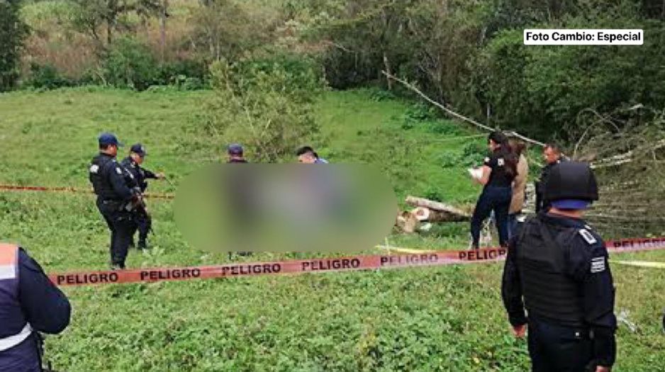Le cae árbol y muere abuelito campesino en Tiaguismanalco