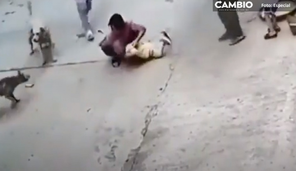 ¡Héroe sin capa! Lomito salva a niño tras ser atacado salvajemente por un perro callejero (VIDEO)