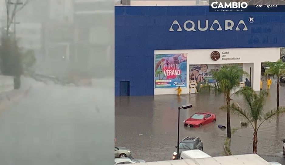 Tormenta hace sufrir a fifís en Angelópolis: se inundan calles y árboles caídos bloquean accesos (FOTOS y VIDEO)