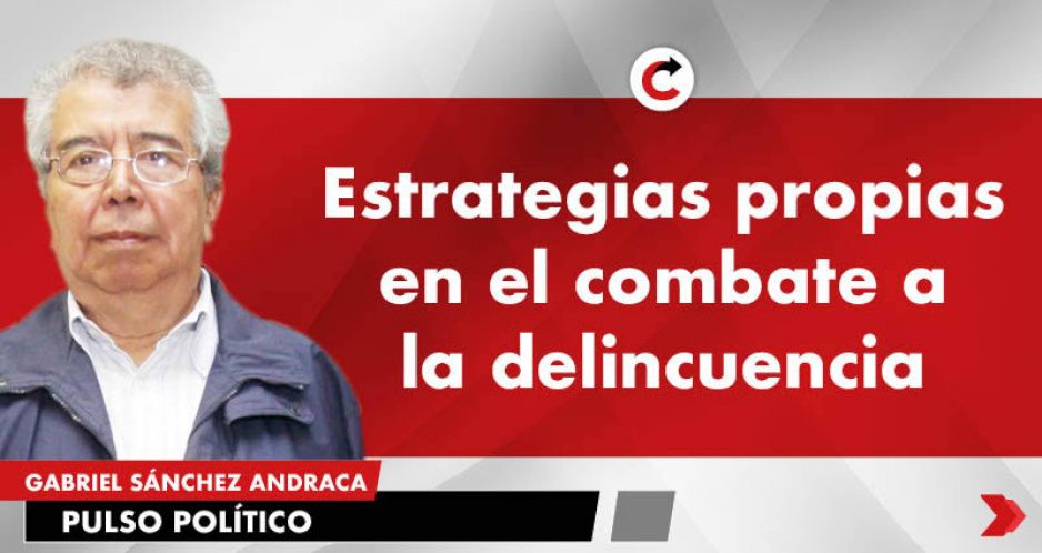 Estrategias propias en el combate a la delincuencia