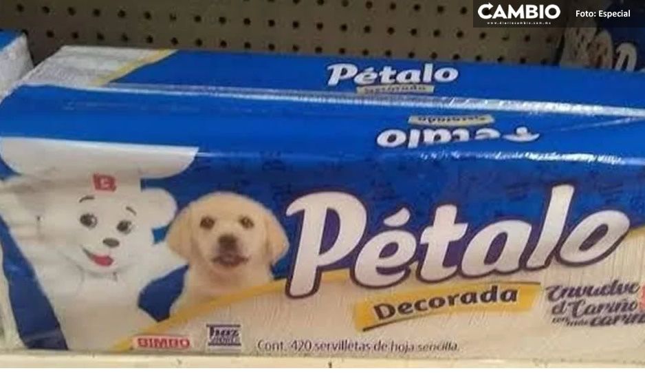 ¡Osito Bimbo se niega a decir adiós! Reaparece en servilletas junto con Puppy