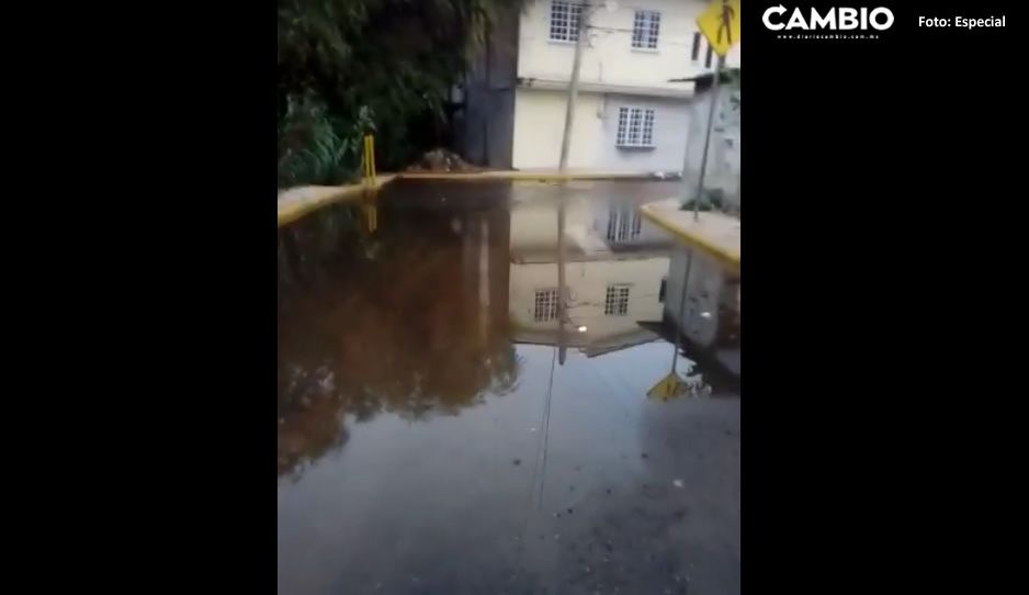 Fuertes lluvias provocan inundaciones en Atlixco (VIDEO)