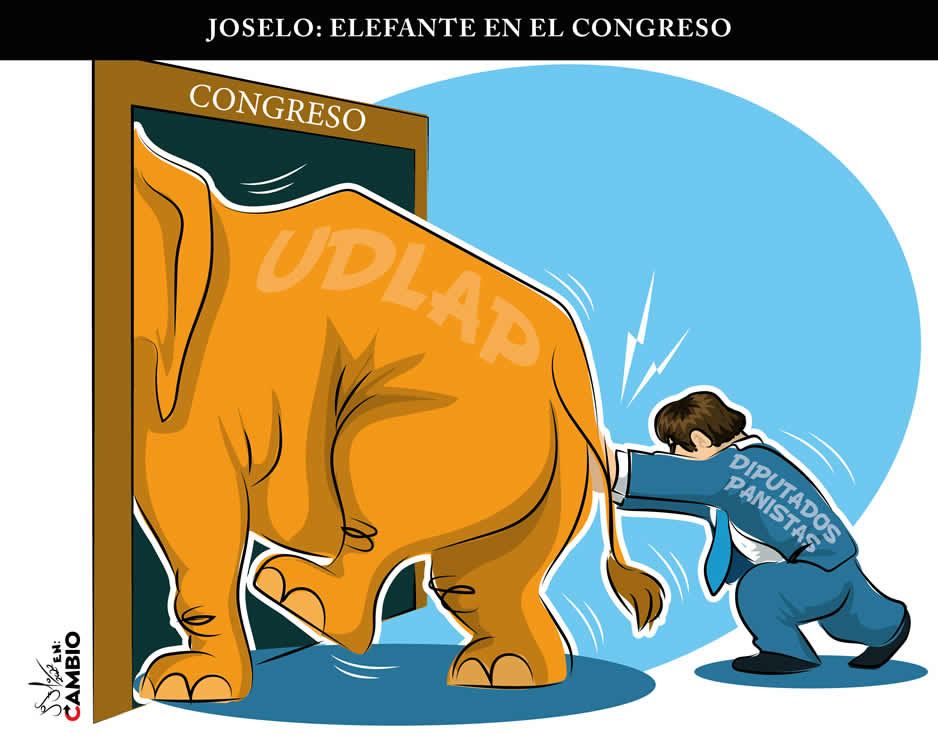 Monero Joselo: ELEFANTE EN EL CONGRESO