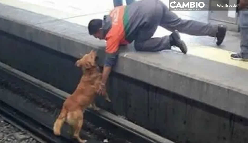 Héroe que rescató a perrito de ser atropellado por el metro será juzgado