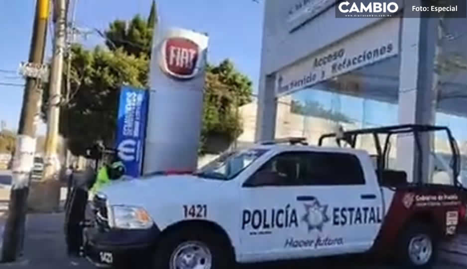 ¡Ni el día feriado respetan! Ladrones dan cristalazo al FIAT de Los Fuertes (VIDEO)