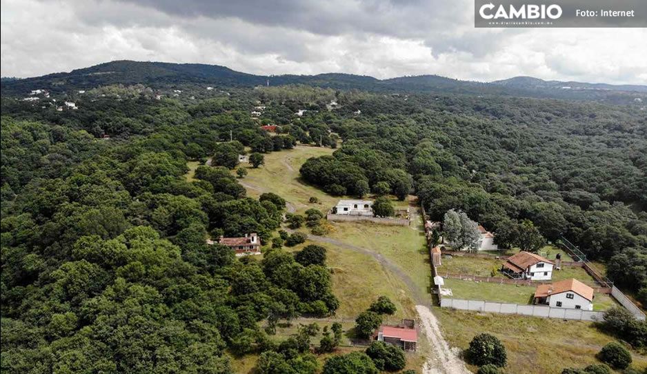 Residencial Haras tendrá un Plan Maestro Sustentable; busca cuidar la zona ecológica