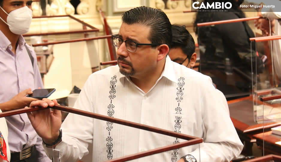CEN panista decidirá si hay sanción vs diputadas que votaron a favor de Gómez Nava: Alcántara
