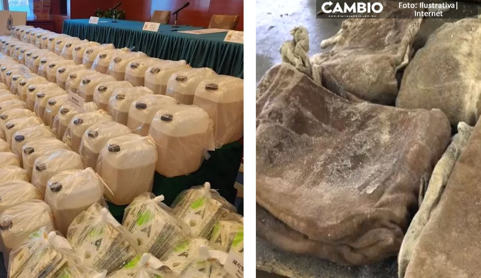 ¡¿Quéee?! Cárteles mexicanos transportan sustancias a Australia entre la piel de vaca o jugo de limón