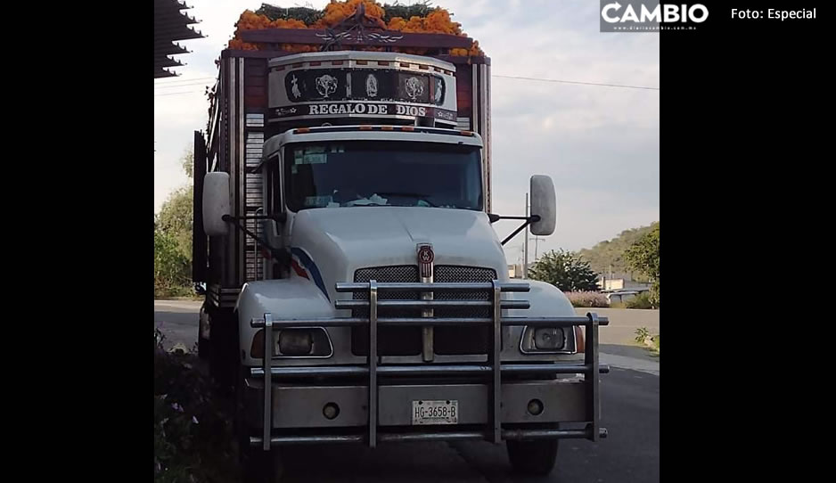 Comando armado roba camión con lujo de violencia en la autopista Puebla-Córdoba