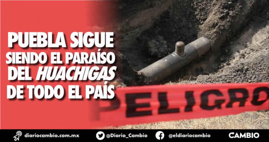 Puebla sigue siendo el paraíso del huachigas de todo el país