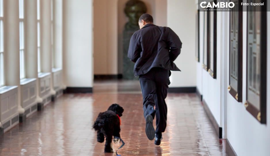 Así fue la emotiva despedida de Barack Obama a su perrito Bo