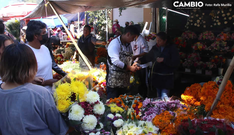 Día de muertos: floreros hacen su agosto en el panteón municipal de Puebla (VIDEO)