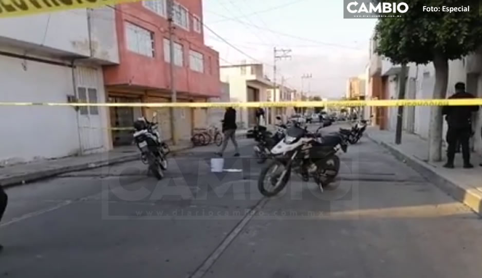 ¡Inhumanos! Abandonan feto en plena vía pública de Texmelucan