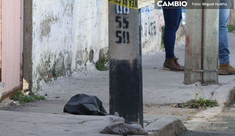 ¡Terrible! Localizan cráneo humano embolsado en calles de La Loma