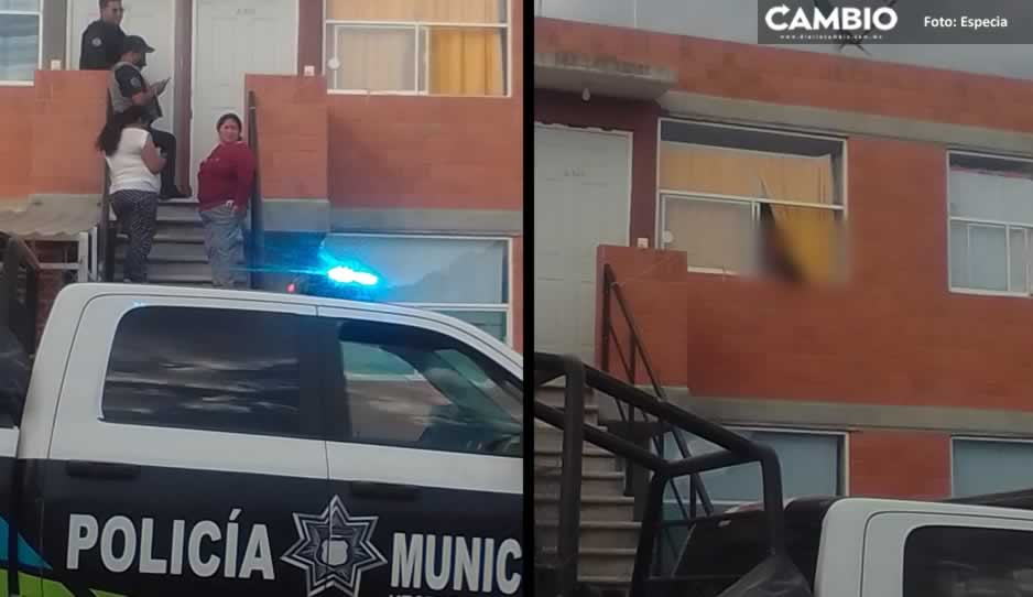 Viven en terribles condiciones; lomito hambriento devora a su compañero en Bosques de Manzanilla (VIDEO)