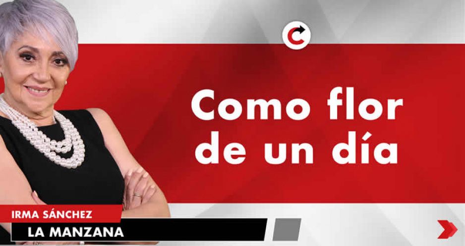 Como flor de un día