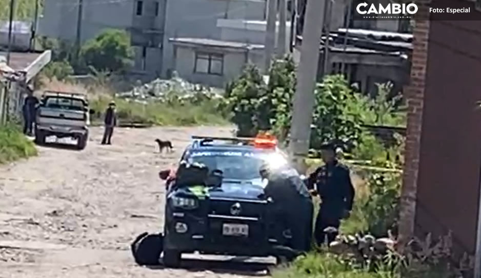 Hallan cadáver putrefacto que era devorado por perros en terreno de Santa Catarina (VIDEO)