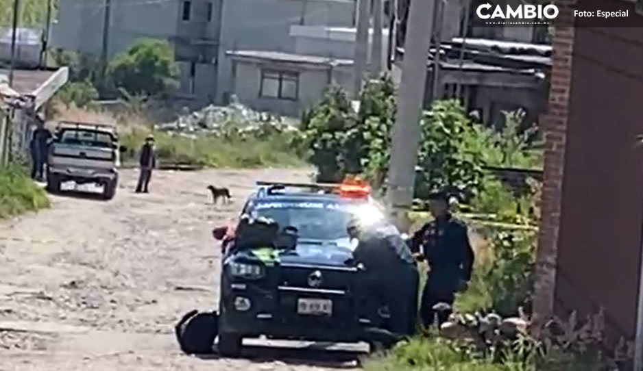Hallan cadáver putrefacto que era devorado por perros en terreno de Santa Catarina (VIDEO)