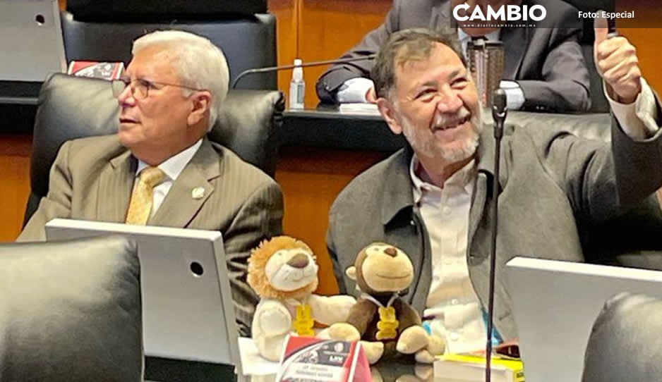 Noroña acude a la Cámara de Senadores con un mono y un felino