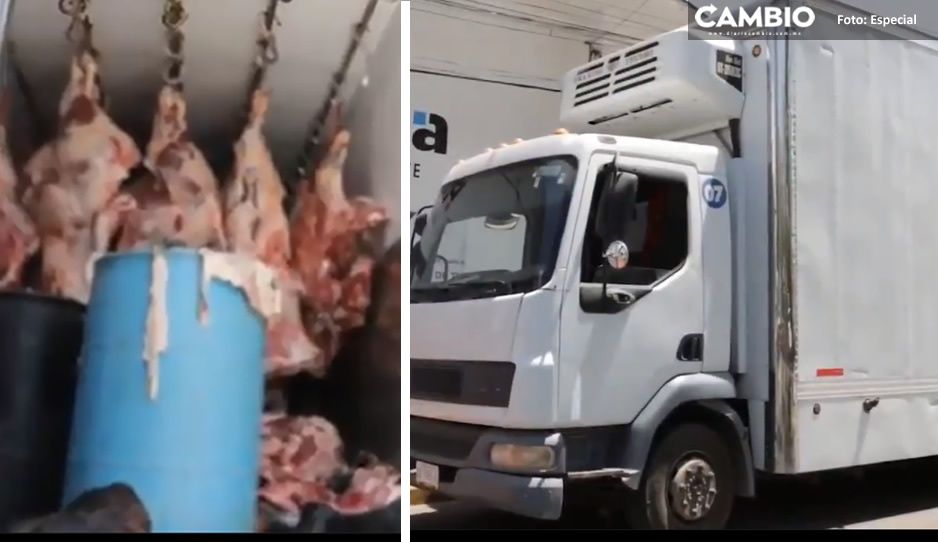 VIDEO: Recuperan camión robado en Minerales del Sur; transportaba medio millón de pesos en carne
